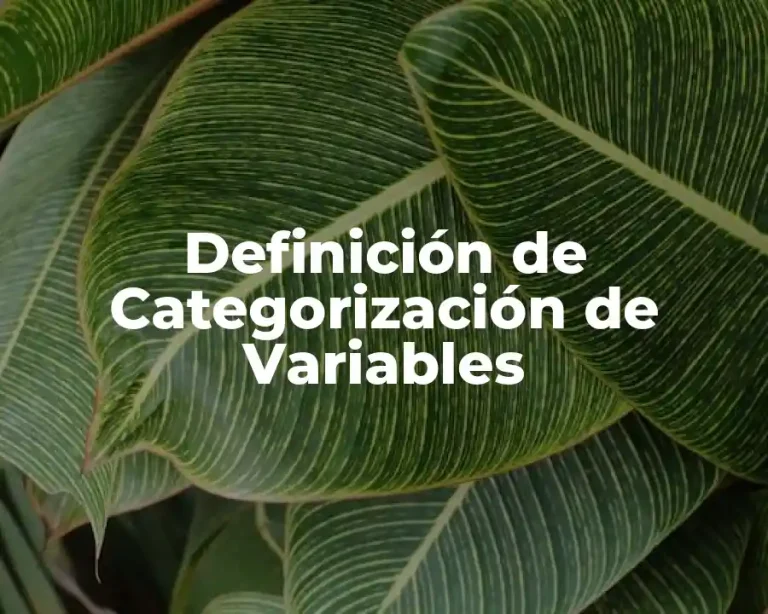 Definición de Categorización de Variables