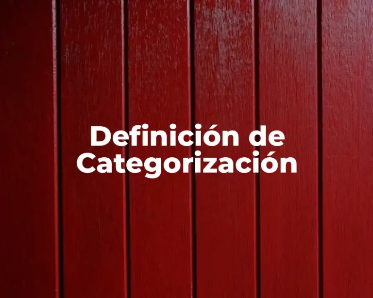 Definición de Categorización