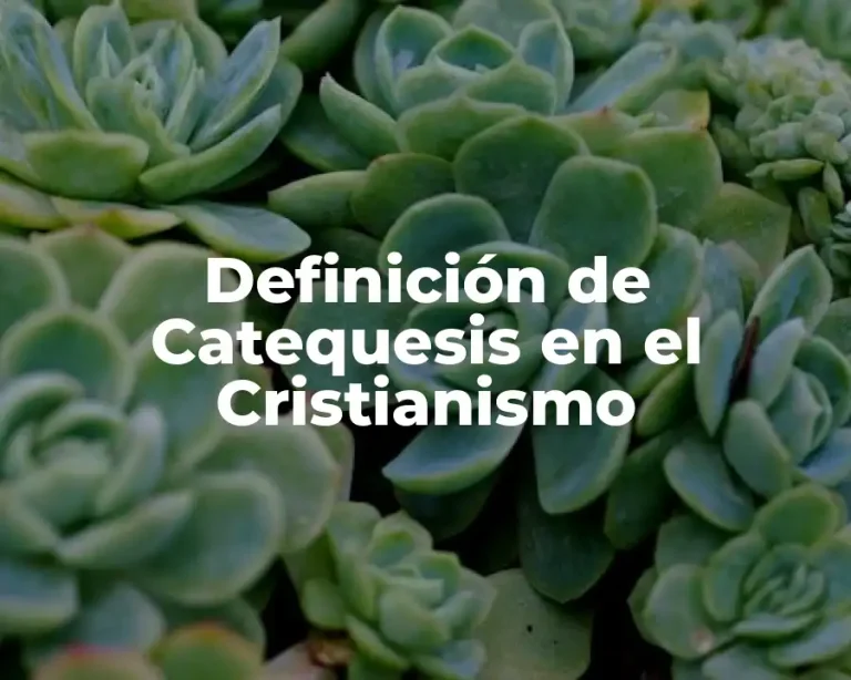 Definición de Catequesis en el Cristianismo