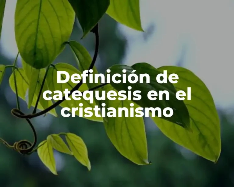 Definición de catequesis en el cristianismo