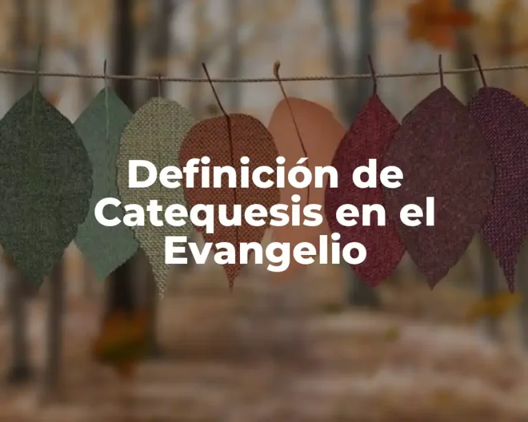 Definición de Catequesis en el Evangelio