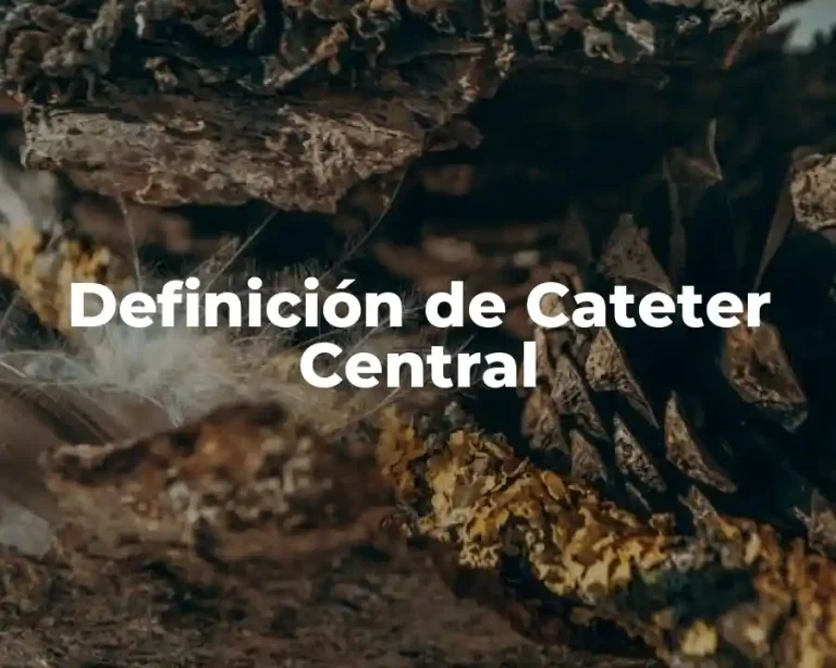 Definición de Cateter Central