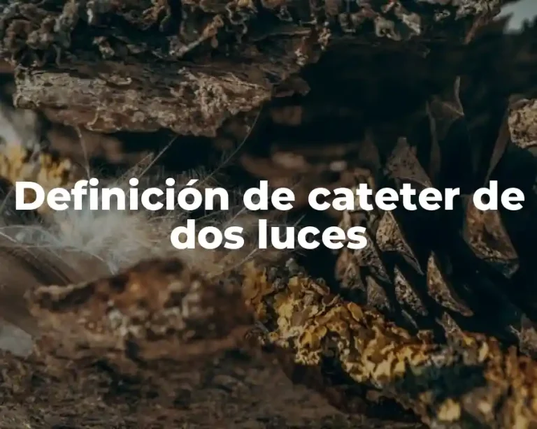 Definición de cateter de dos luces