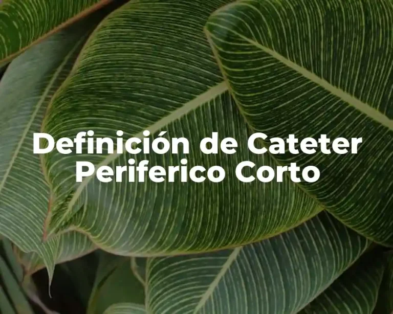 Definición de Cateter Periferico Corto