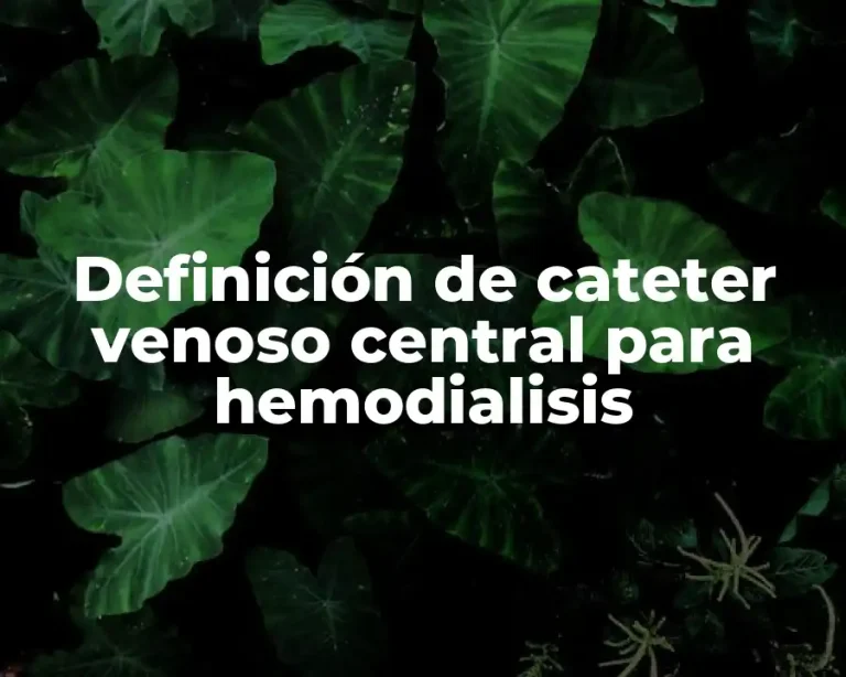Definición de cateter venoso central para hemodialisis