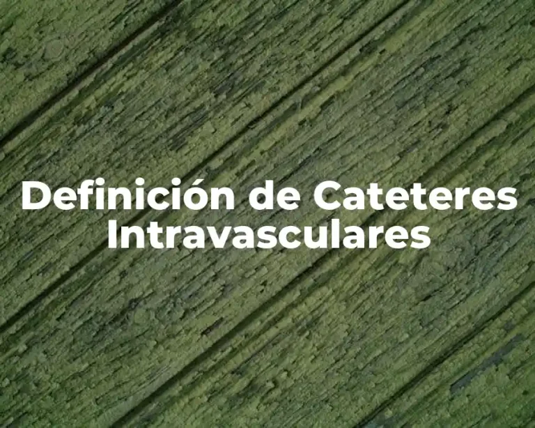 Definición de Cateteres Intravasculares