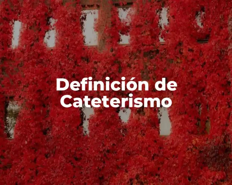 Definición de Cateterismo