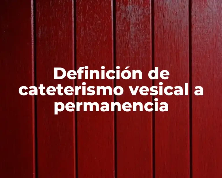 Definición de cateterismo vesical a permanencia