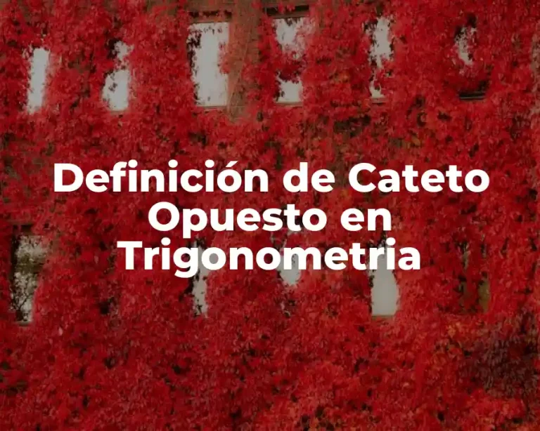 Definición de Cateto Opuesto en Trigonometria