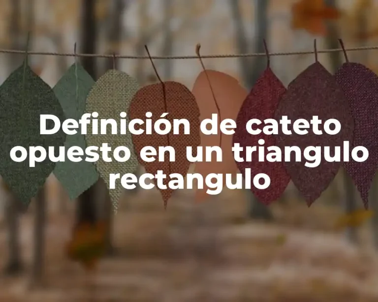 Definición de cateto opuesto en un triangulo rectangulo