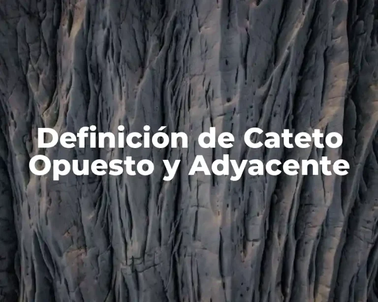 Definición de Cateto Opuesto y Adyacente