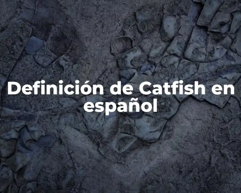 Definición de Catfish en español