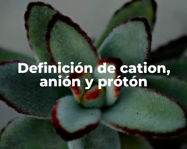 Definición de cation, anión y prótón