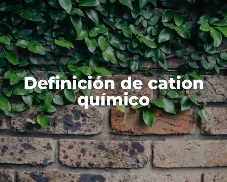 Definición de cation químico