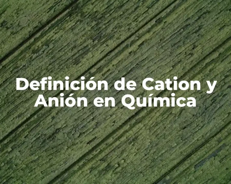 Definición de Cation y Anión en Química