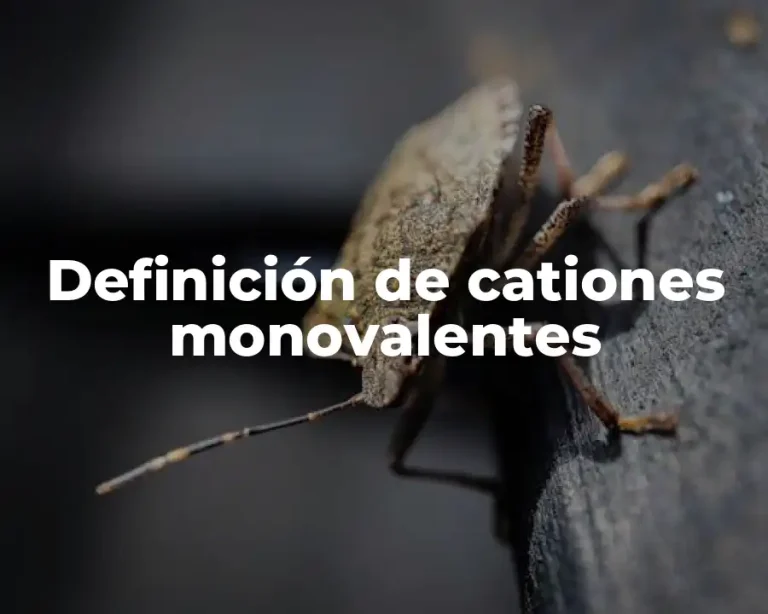 Definición de cationes monovalentes
