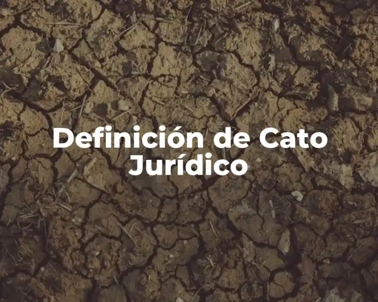 Definición de Cato Jurídico