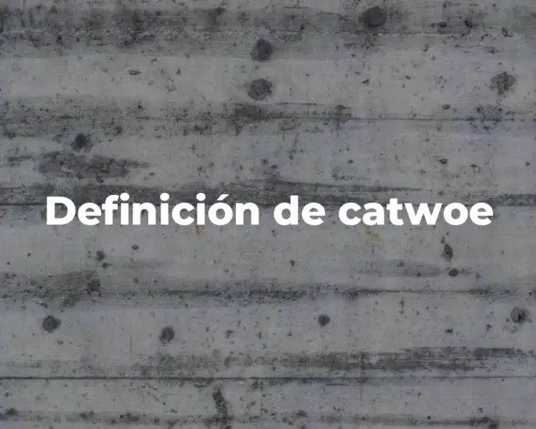 Definición de catwoe