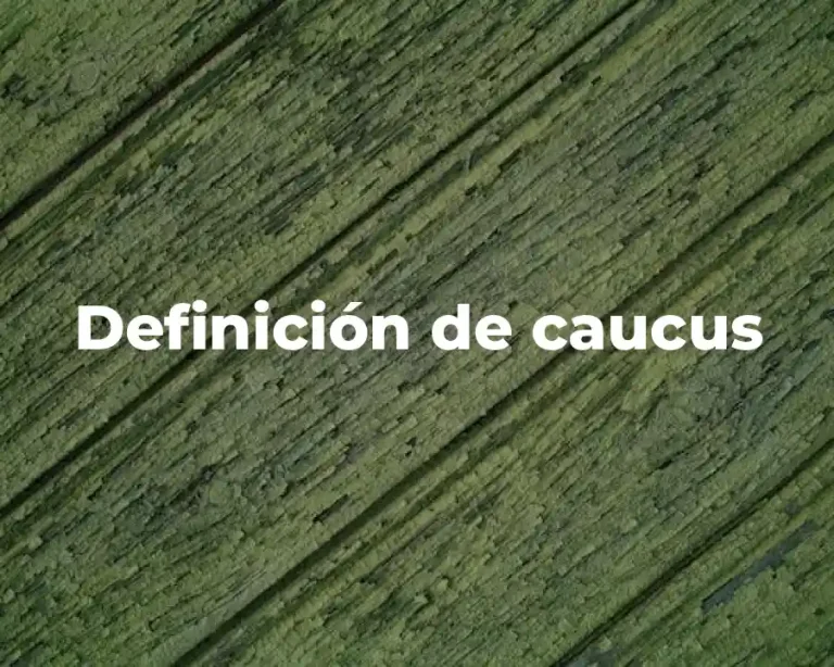 Definición de caucus