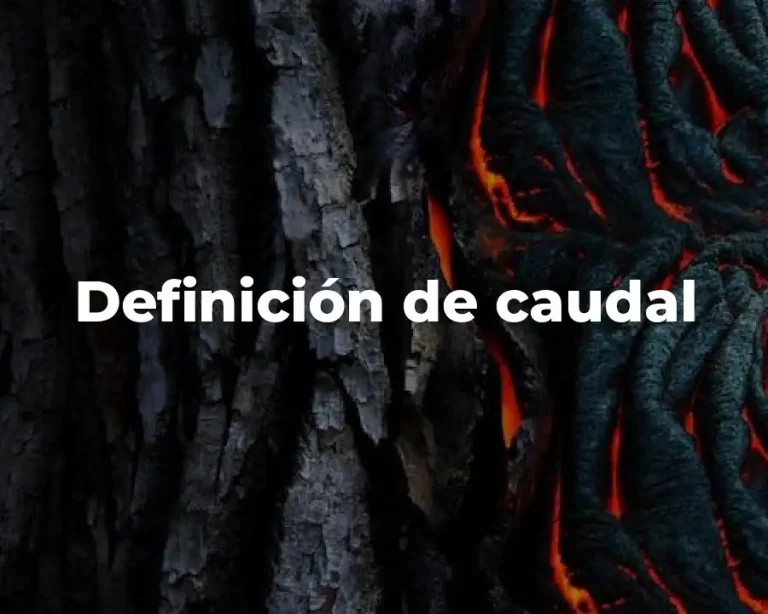 Definición de caudal