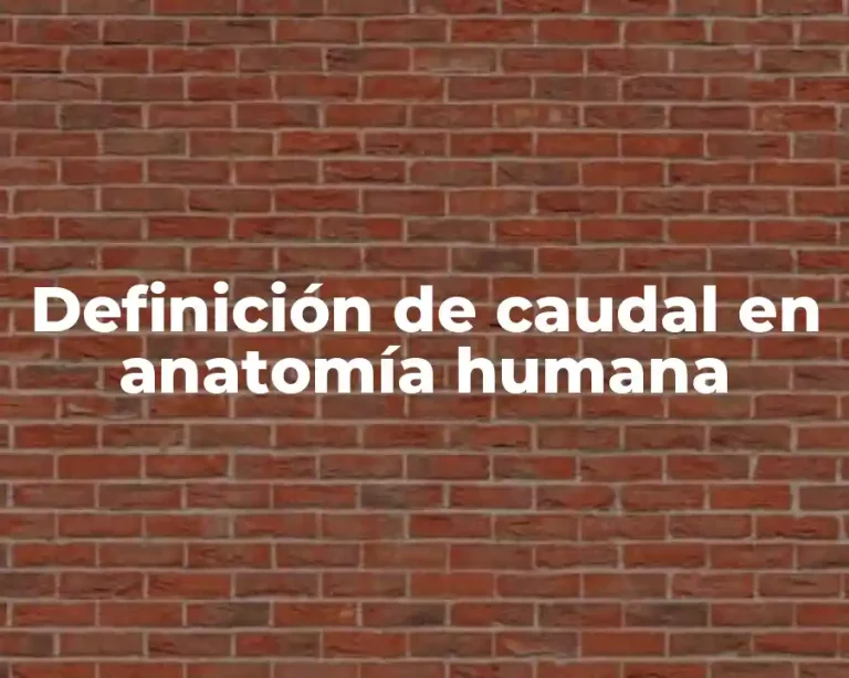 Definición de caudal en anatomía humana