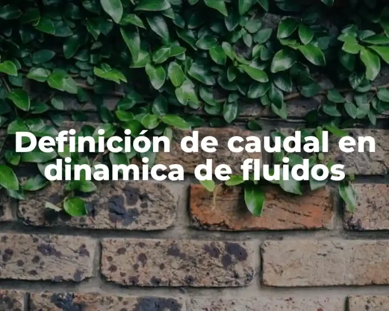 Definición de caudal en dinamica de fluidos