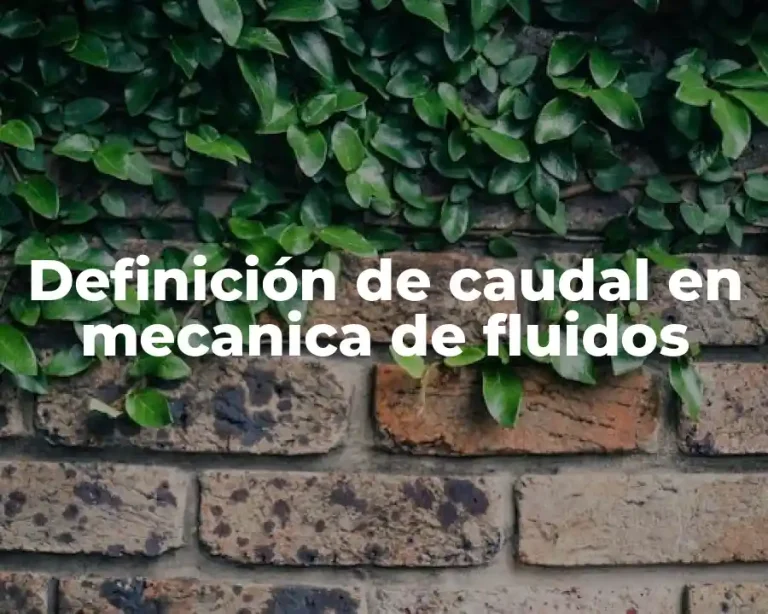 Definición de caudal en mecanica de fluidos