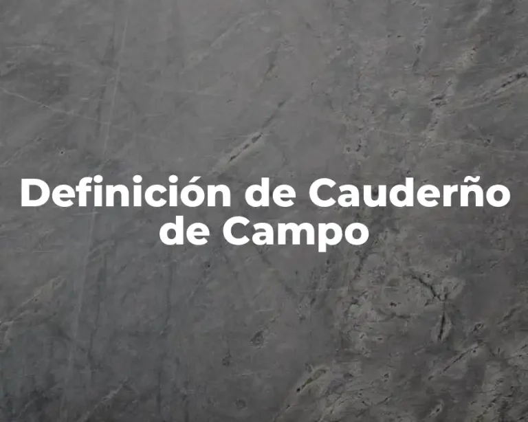 Definición de Cauderño de Campo