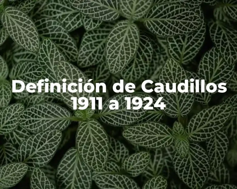 Definición de Caudillos 1911 a 1924