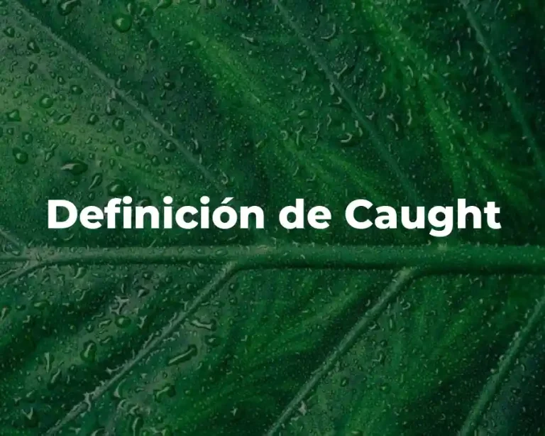 Definición de Caught