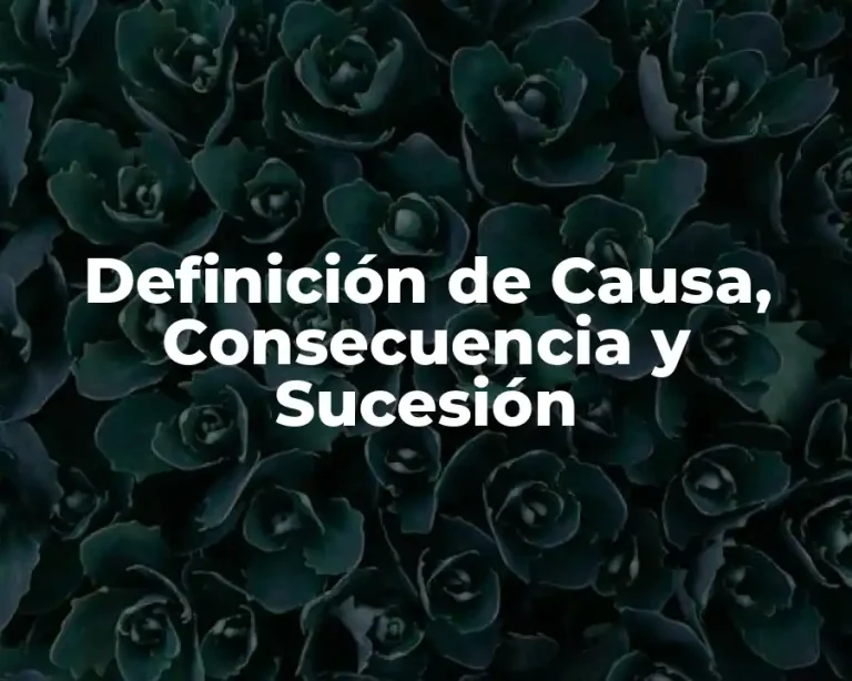 Definición de Causa, Consecuencia y Sucesión