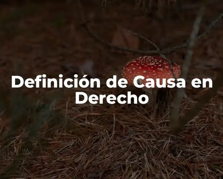 Definición de Causa en Derecho