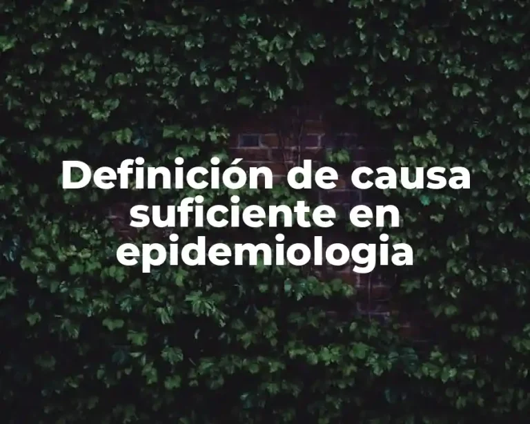 Definición de causa suficiente en epidemiologia