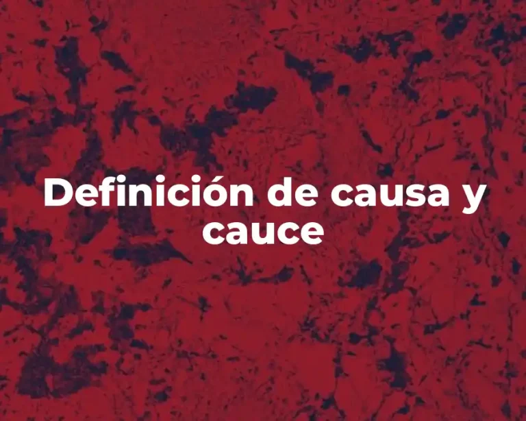 Definición de causa y cauce