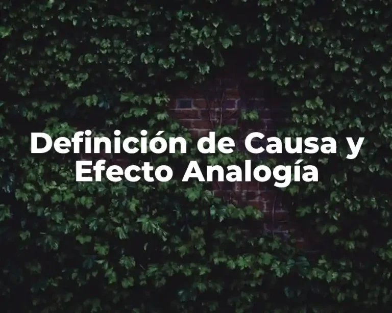 Definición de Causa y Efecto Analogía