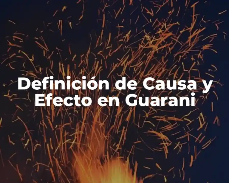 Definición de Causa y Efecto en Guarani