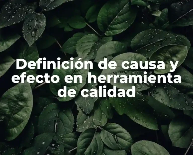 Definición de causa y efecto en herramienta de calidad