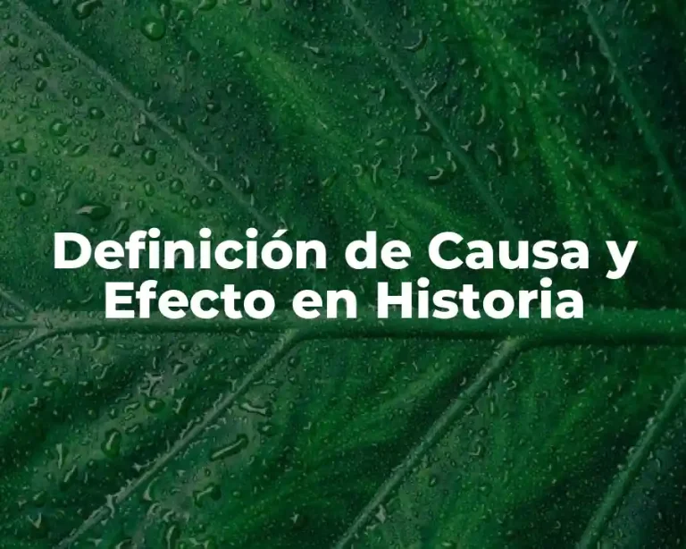 Definición de Causa y Efecto en Historia