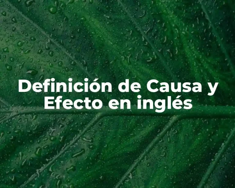 Definición de Causa y Efecto en inglés