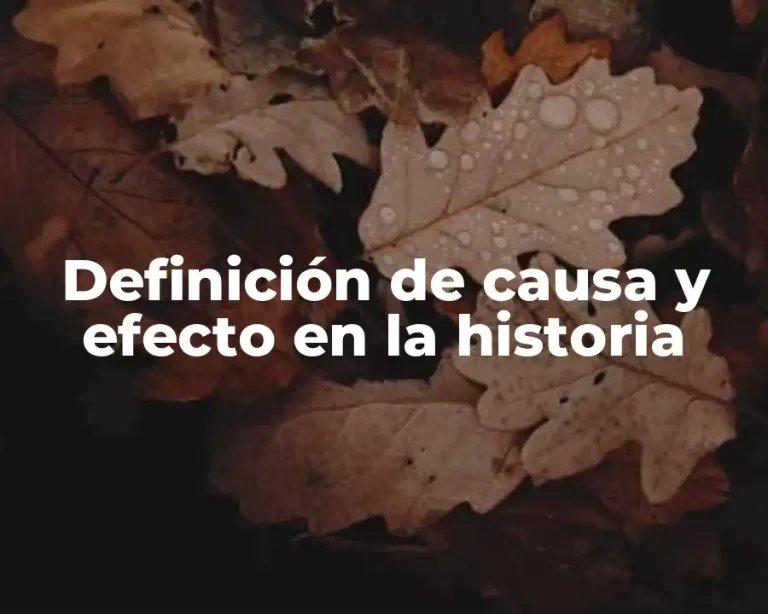 Definición de causa y efecto en la historia