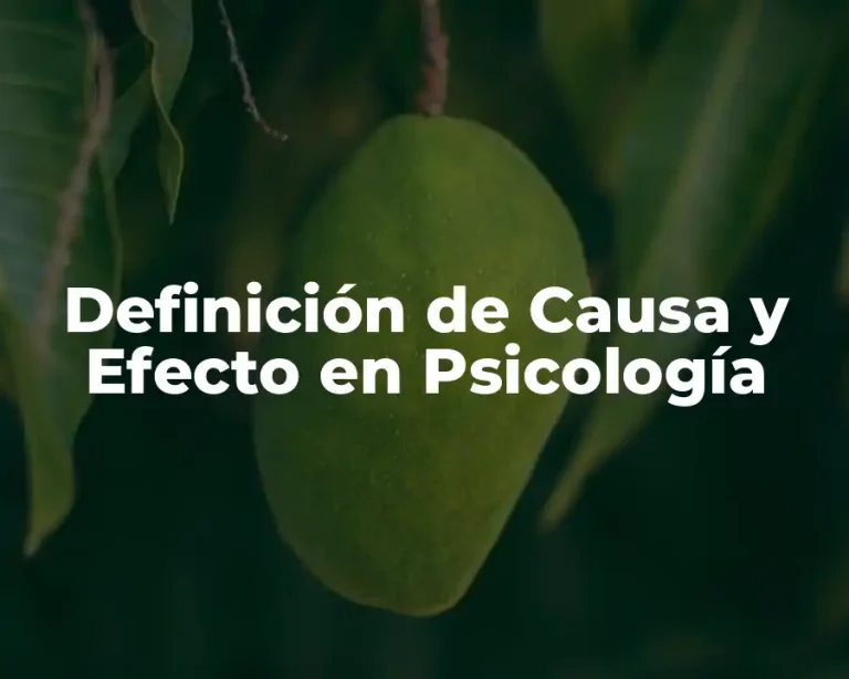 Definición de Causa y Efecto en Psicología