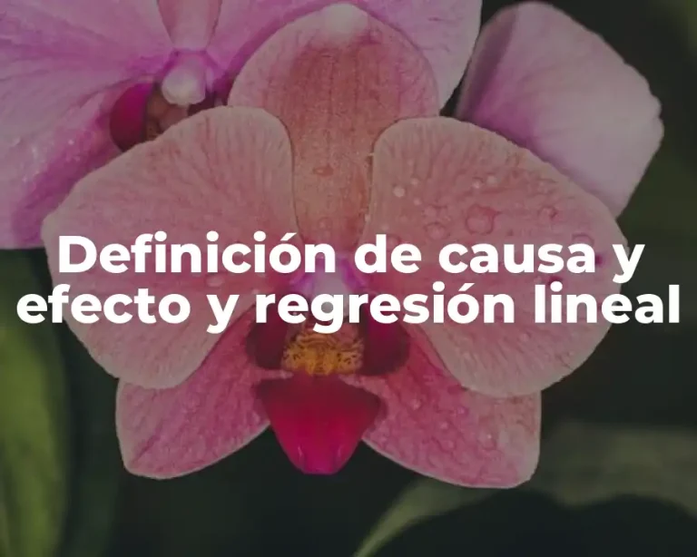 Definición de causa y efecto y regresión lineal