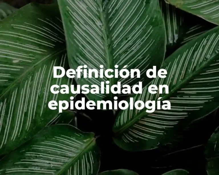 Definición de causalidad en epidemiología