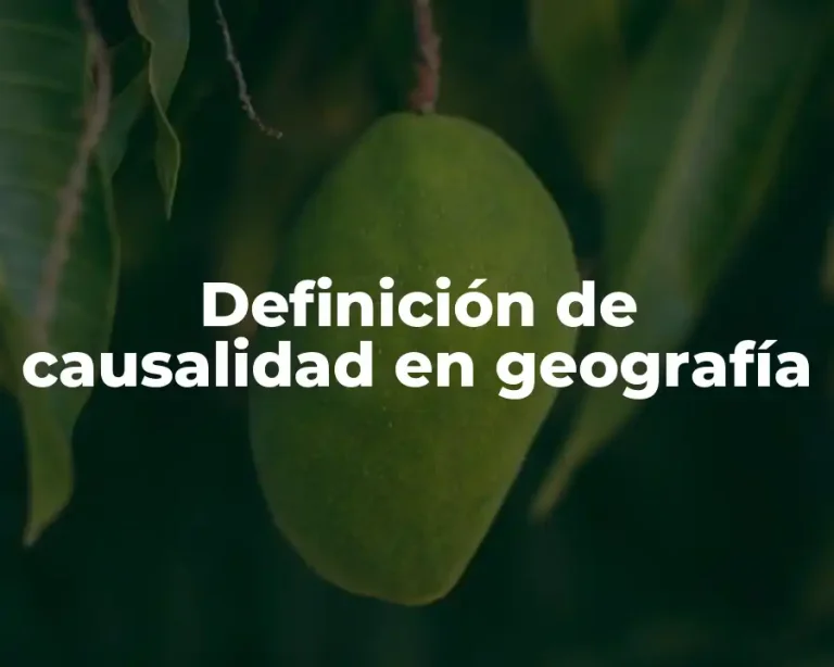 Definición de causalidad en geografía