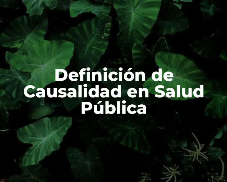 Definición de Causalidad en Salud Pública