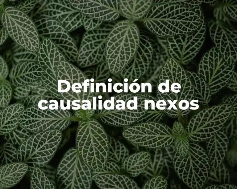 Definición de causalidad nexos