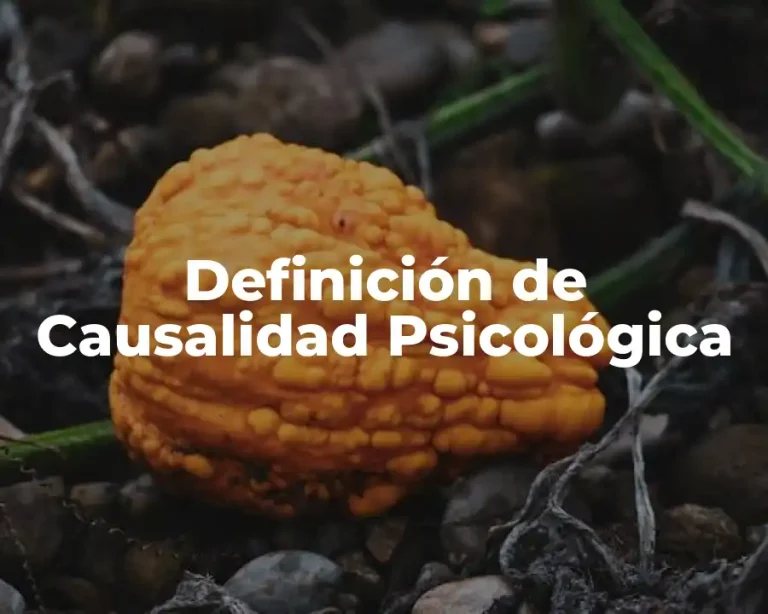 Definición de Causalidad Psicológica