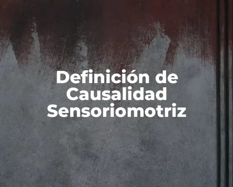 Definición de Causalidad Sensoriomotriz