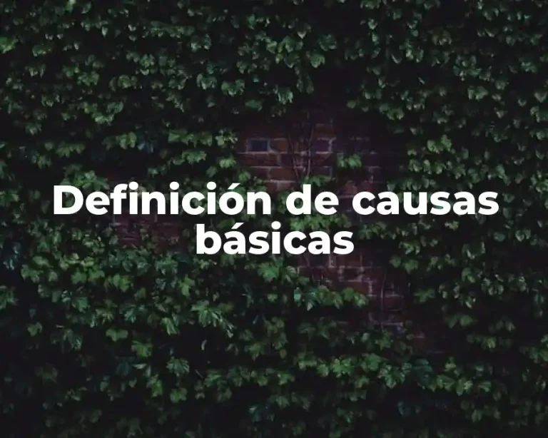 Definición de causas básicas