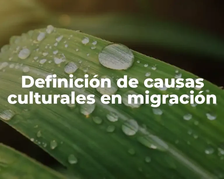 Definición de causas culturales en migración